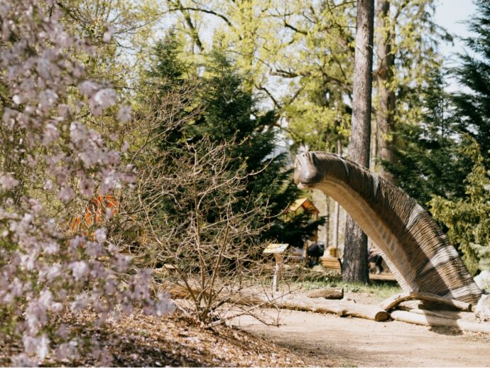 Foto: © DinoPark