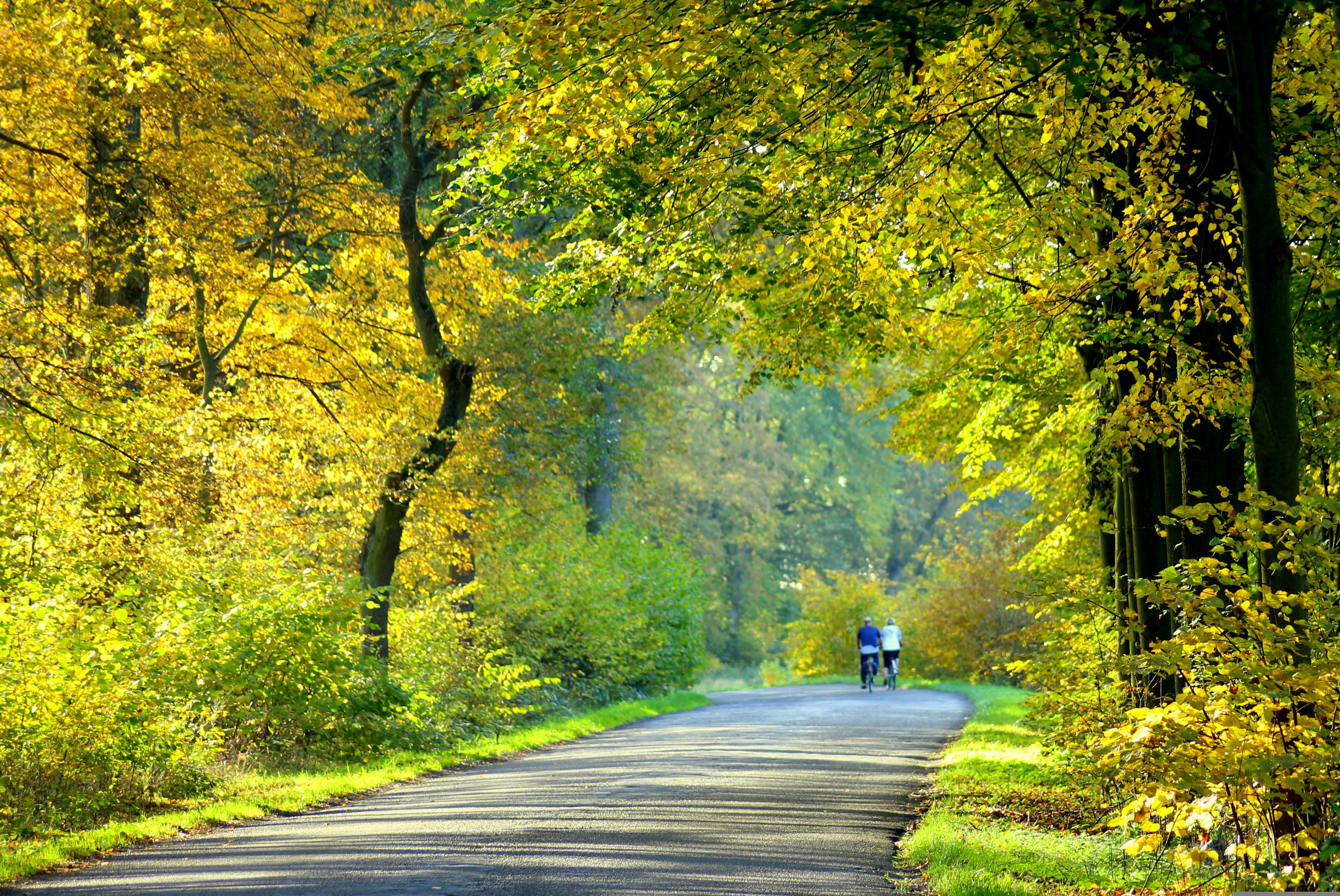 Cyklisté. Foto: © Alicja, Pixabay