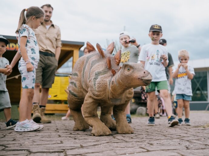 Foto: © DinoPark