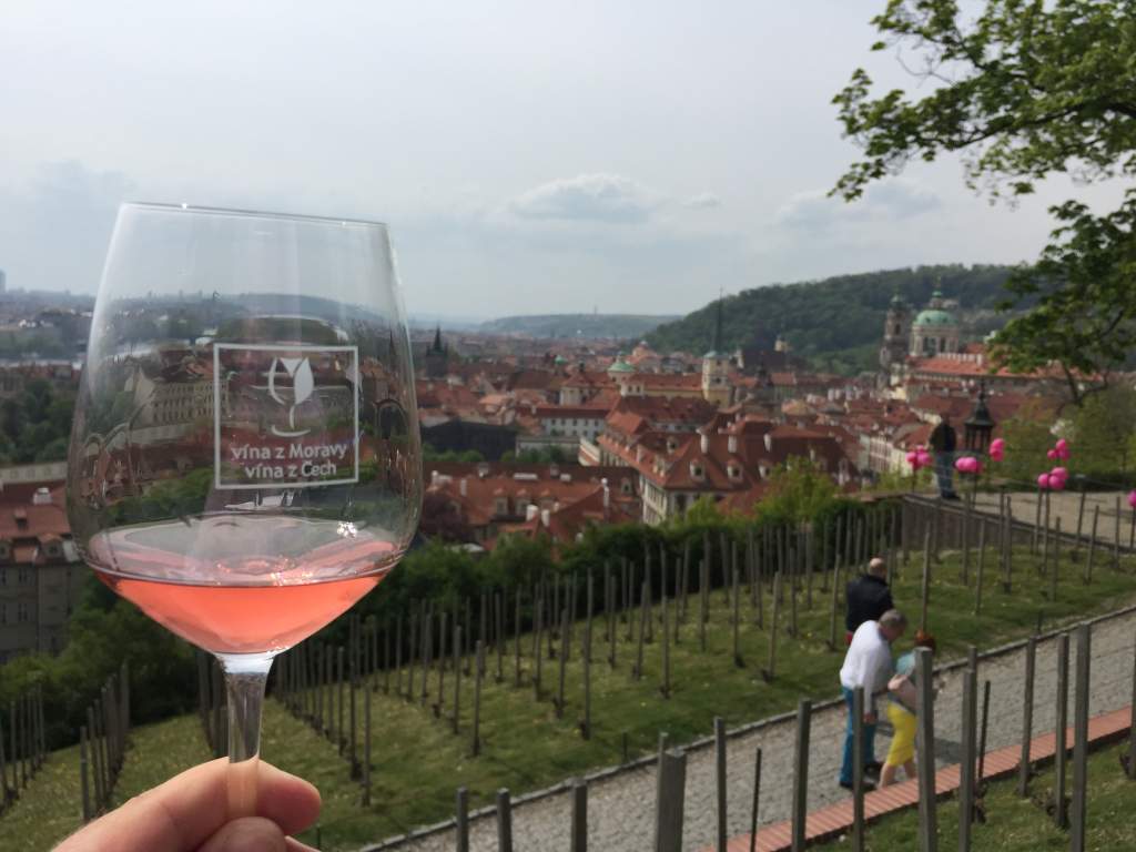 Svátek růžových vín a… bublinek. Foto: © Národní vinařské centrum
