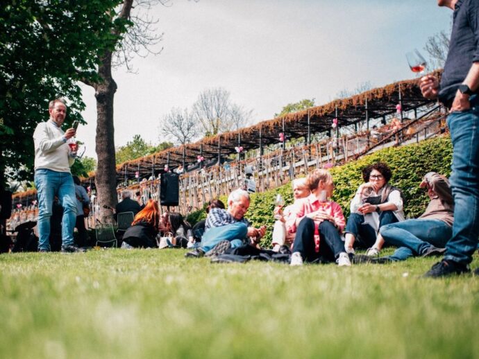Svátek růžových vín a… bublinek. Foto: © Národní vinařské centrum