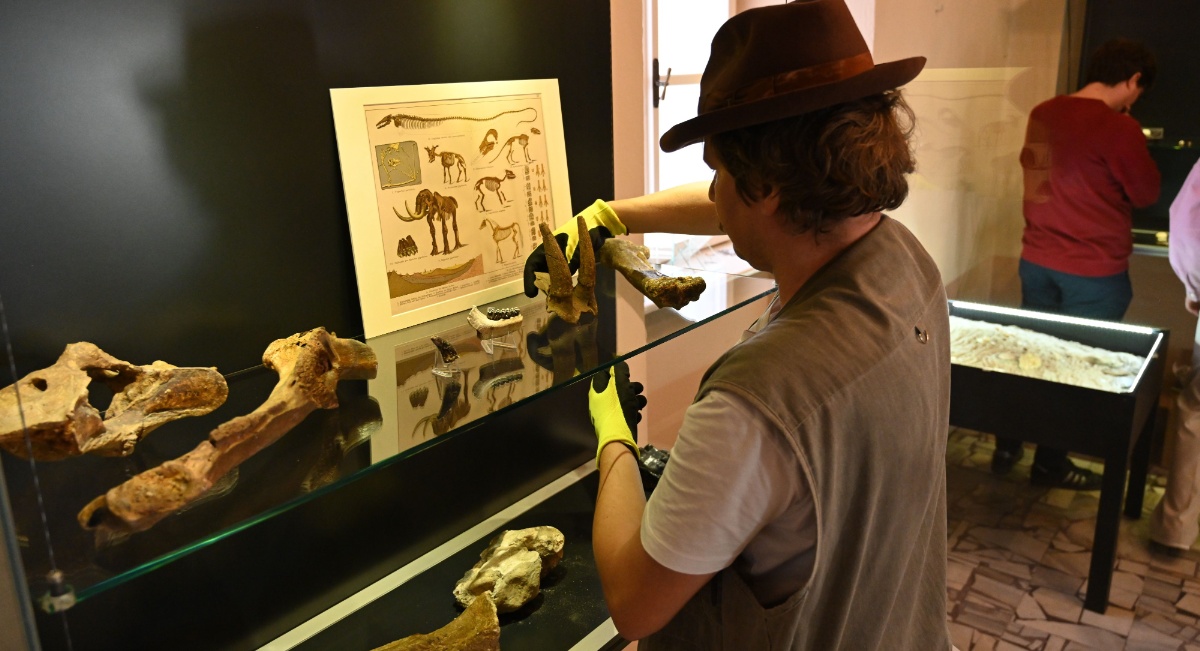Zkamenělí obři a trpaslíci moravského kenozoika, Foto: © Jihomoravské muzeum ve Znojmě