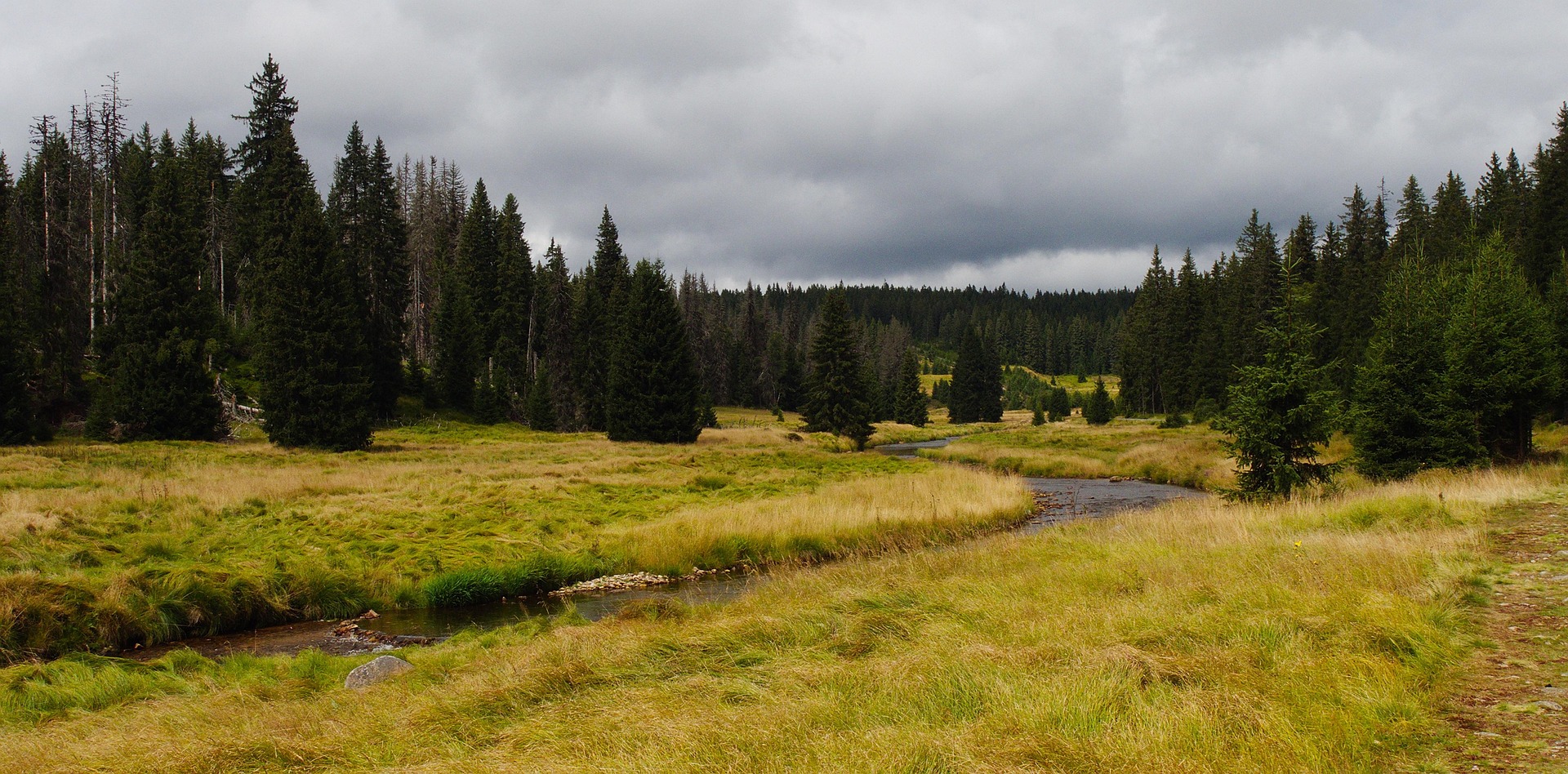 Modrava, Foto: © Petr z Pixabay