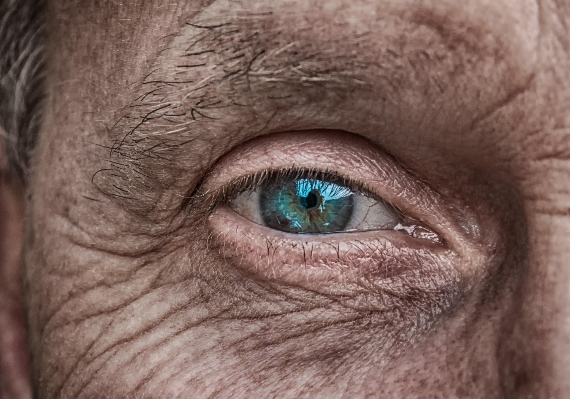 Ilustrační foto: © Tom z Pixabay
