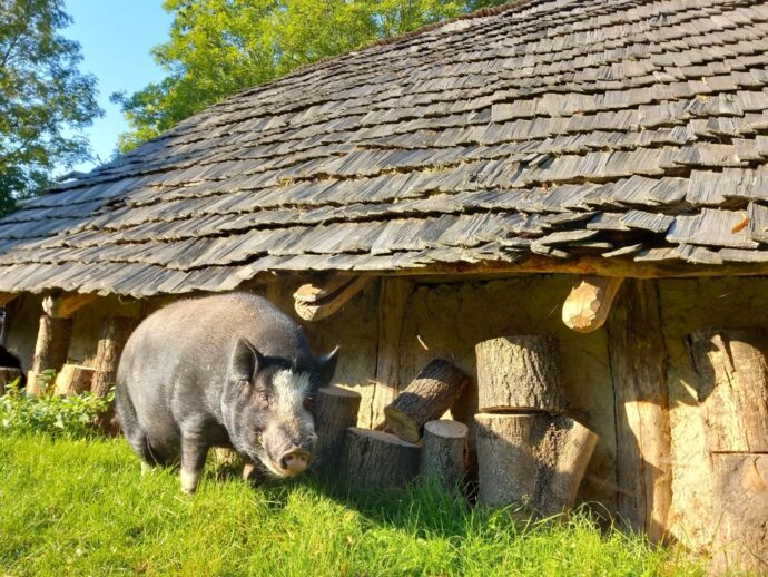 Foto: © Archeoskanzen Březno