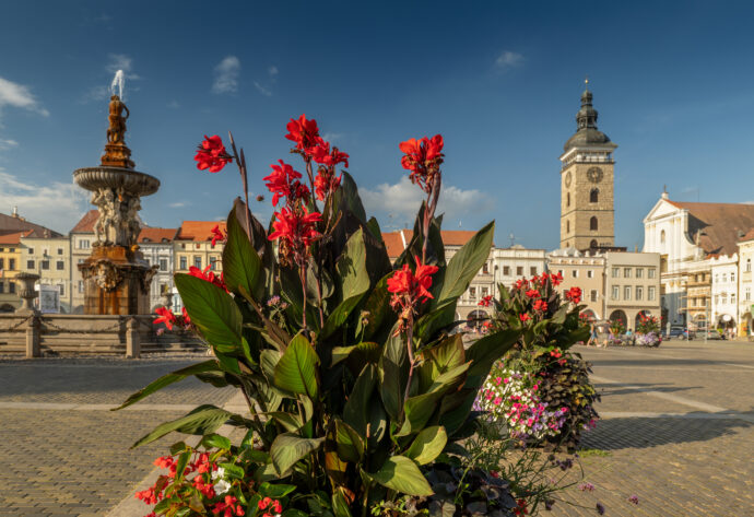 Foto: © České Budějovice