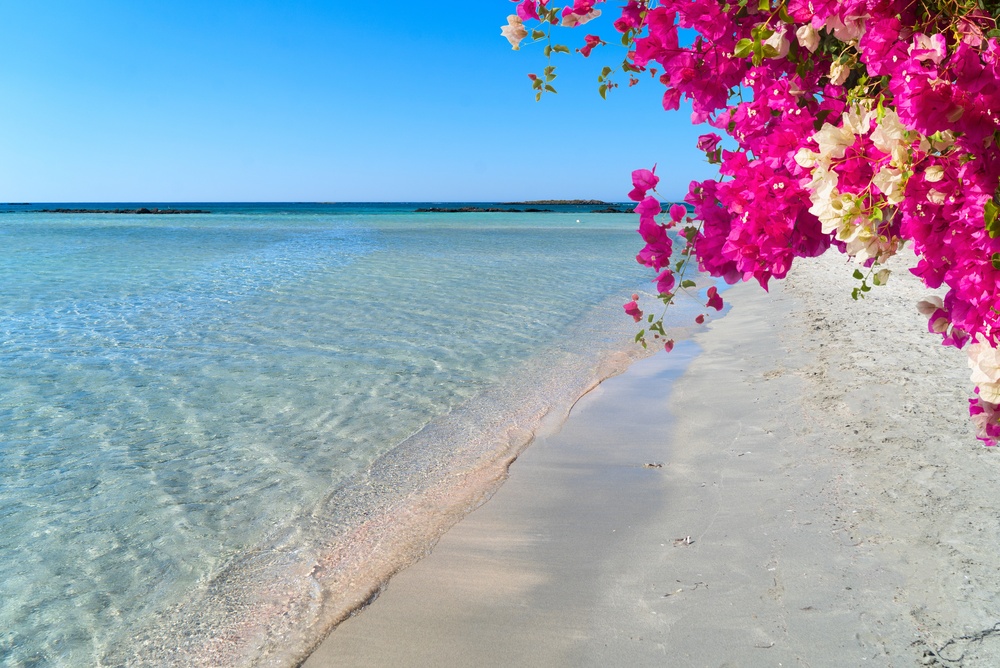 Foto: © Shutterstock