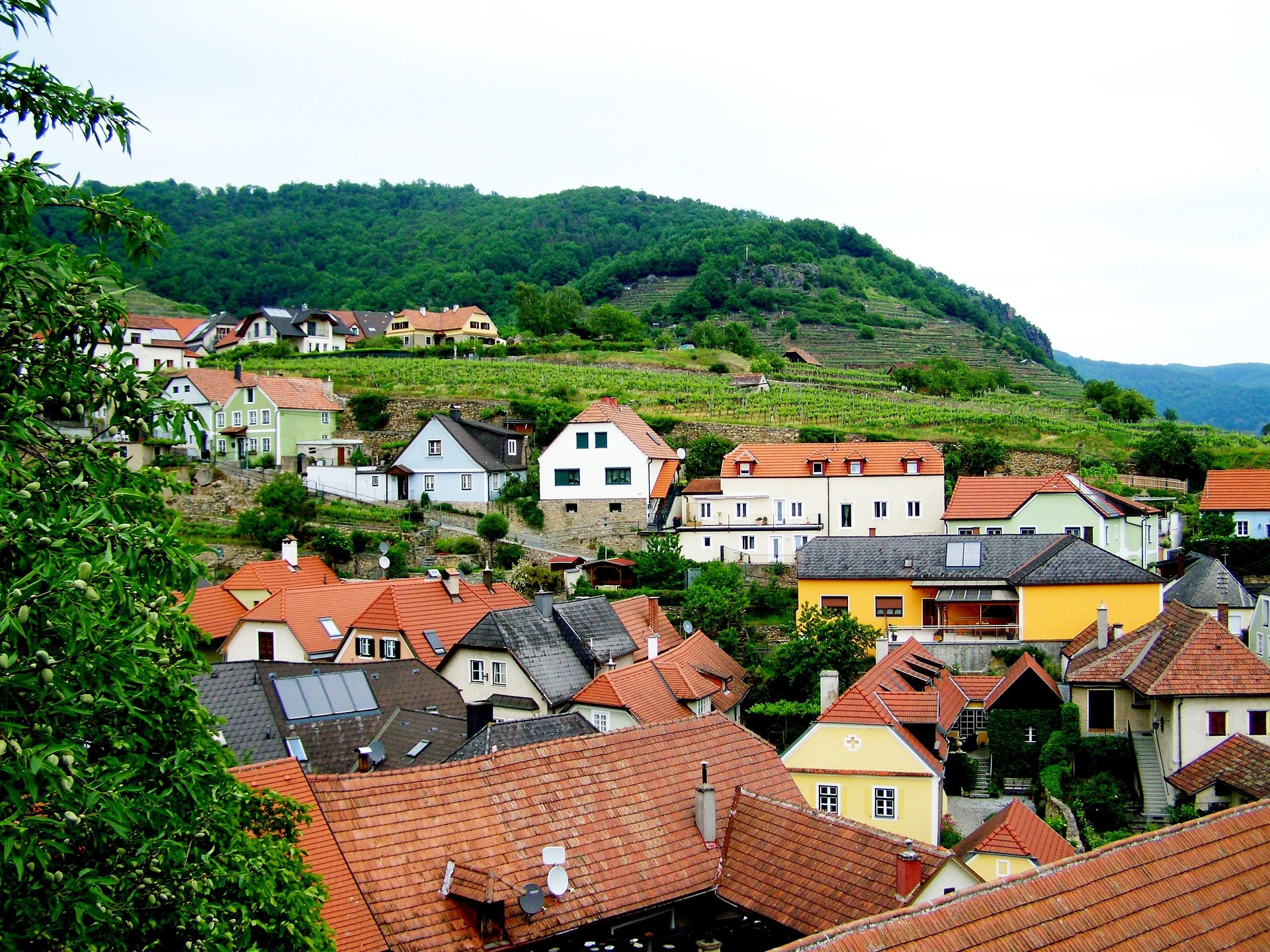 Ilustrační foto,, Foto: © Anna Armbrust z Pixabay