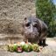 Foto: © Zoo Dvorec