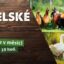 Chovatelské trhy na Výstavišti Kroměříž