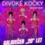 Travesti show Divoké kočky – galavečer „20″ let – DK Akord