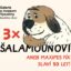 Výstava Třikrát Šalamounovi aneb Maxipes Fík letos slaví 50 let!