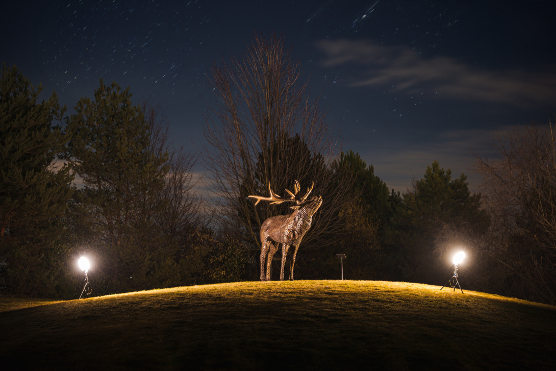 Jelen, Michal Gabriel. Foto: © Galerie Golf Hostivař