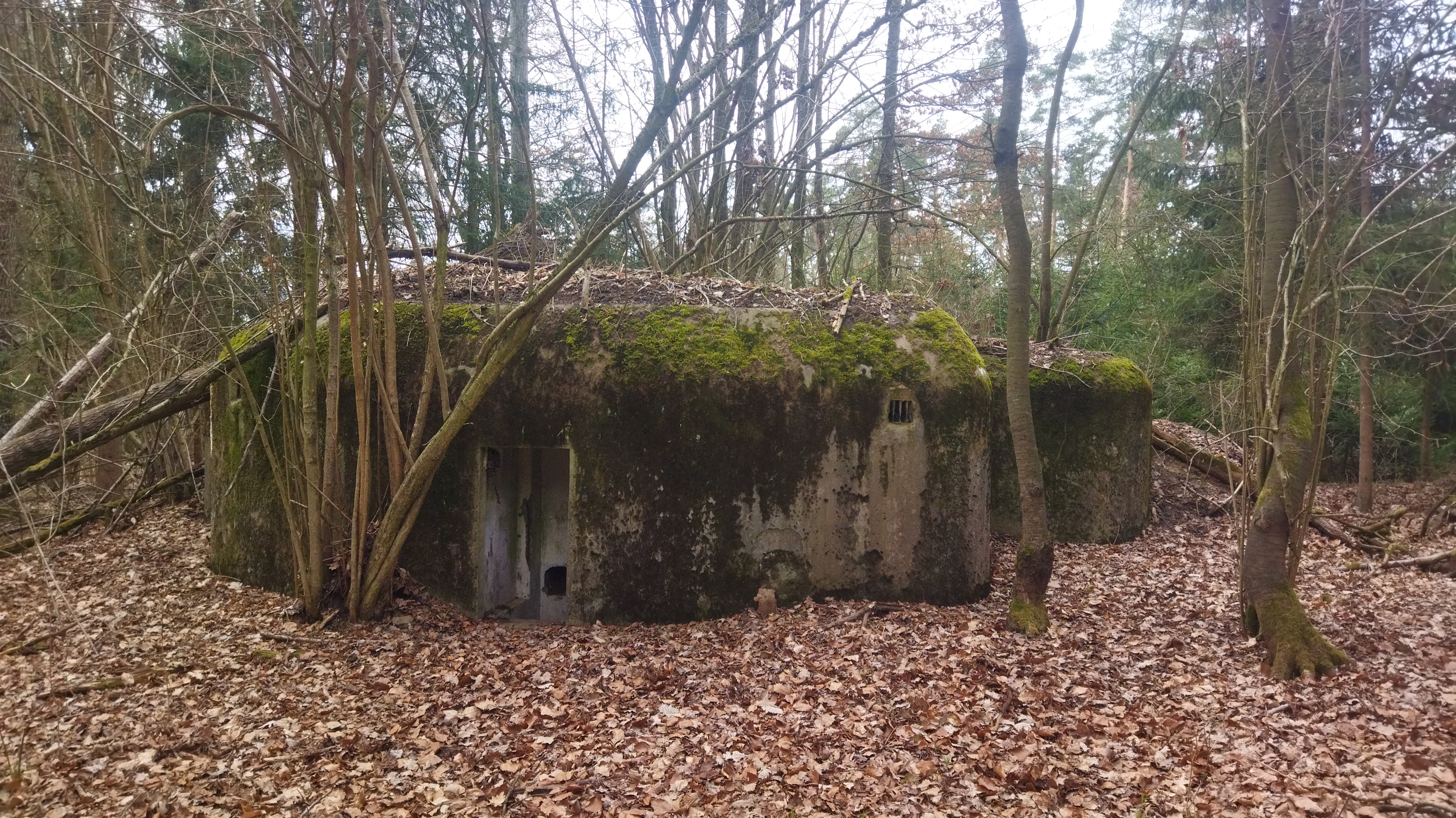 Archeologické léto - Válečná krajina Holýšovska