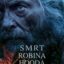 Smrt Robina Hooda